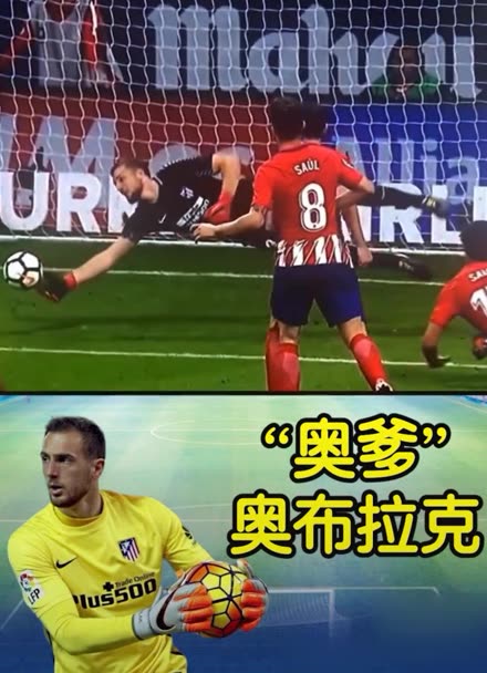 许多成功的 许多成功的