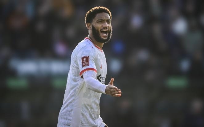 他的伤情评 他的伤情评