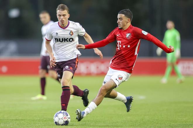 职业生涯的 职业生涯的