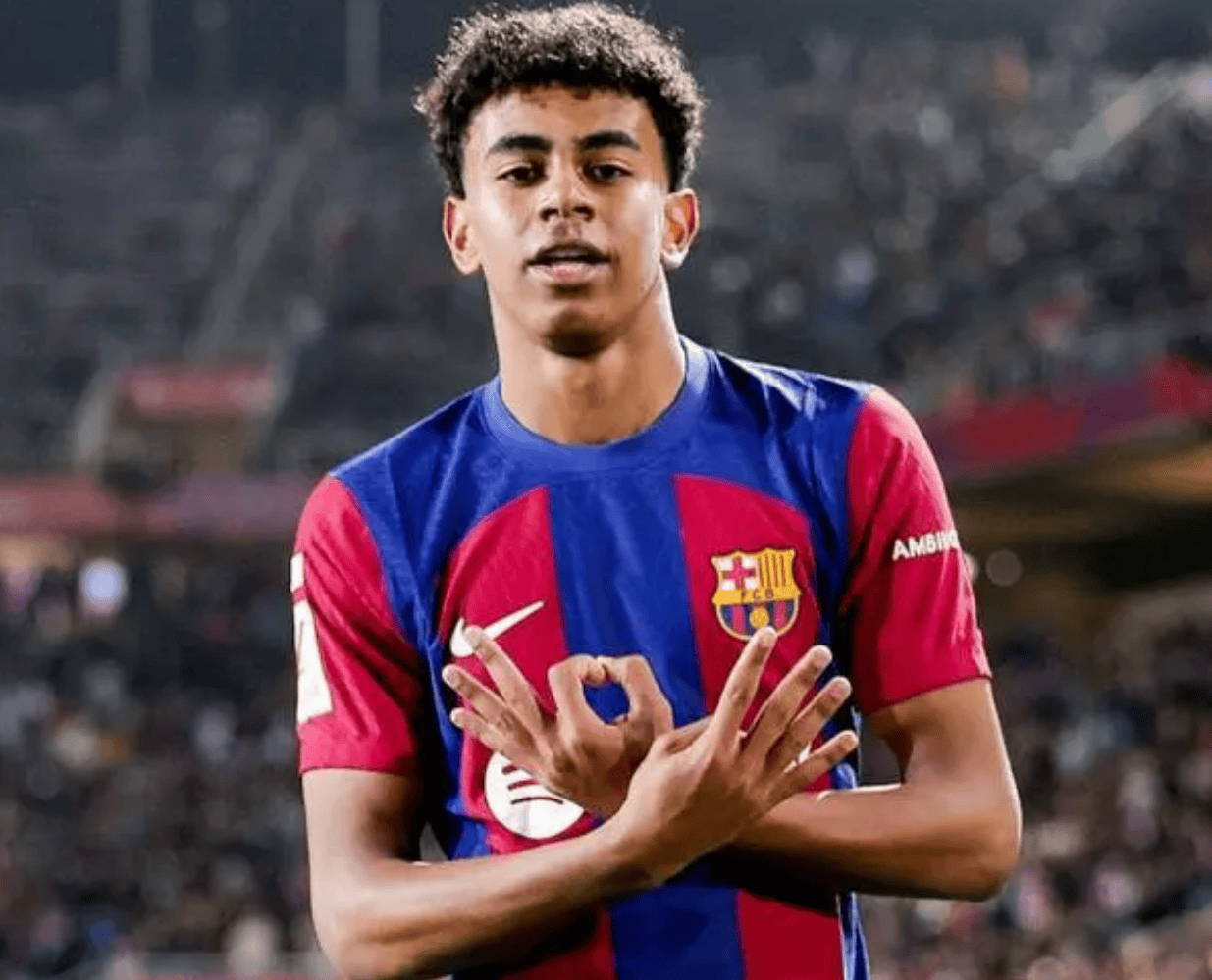 员对多伦多 员对多伦多